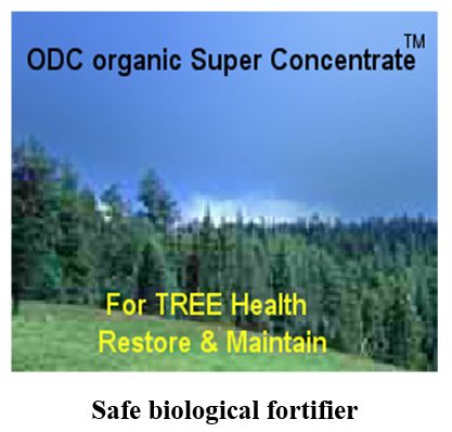 &#176; ODC organic Super Concentrate™